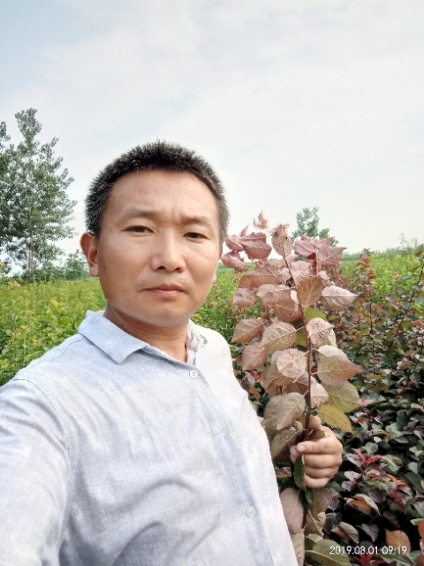 孩子爸的第二张照片--新沂闪婚服务中心